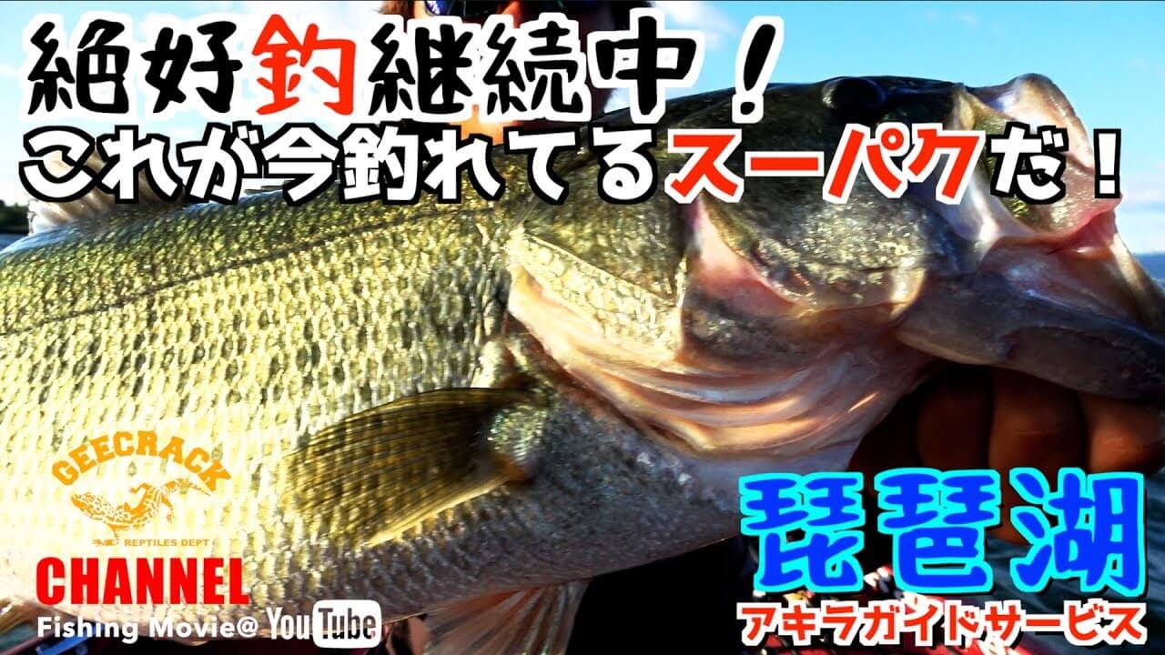 秋の琵琶湖で釣りまくっている「スーパク」を解説！斉藤陽