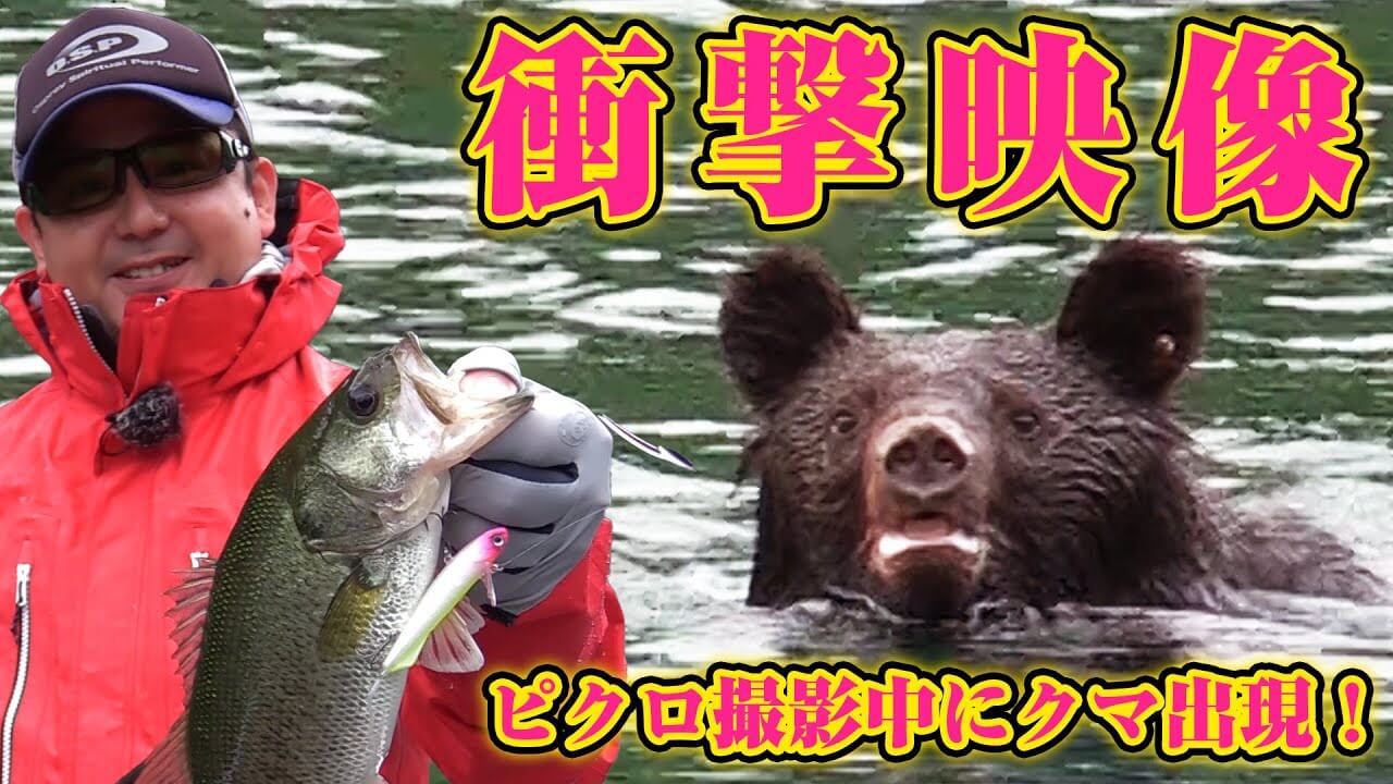 池原ダムでバス釣り中に熊が出没！山岡計文